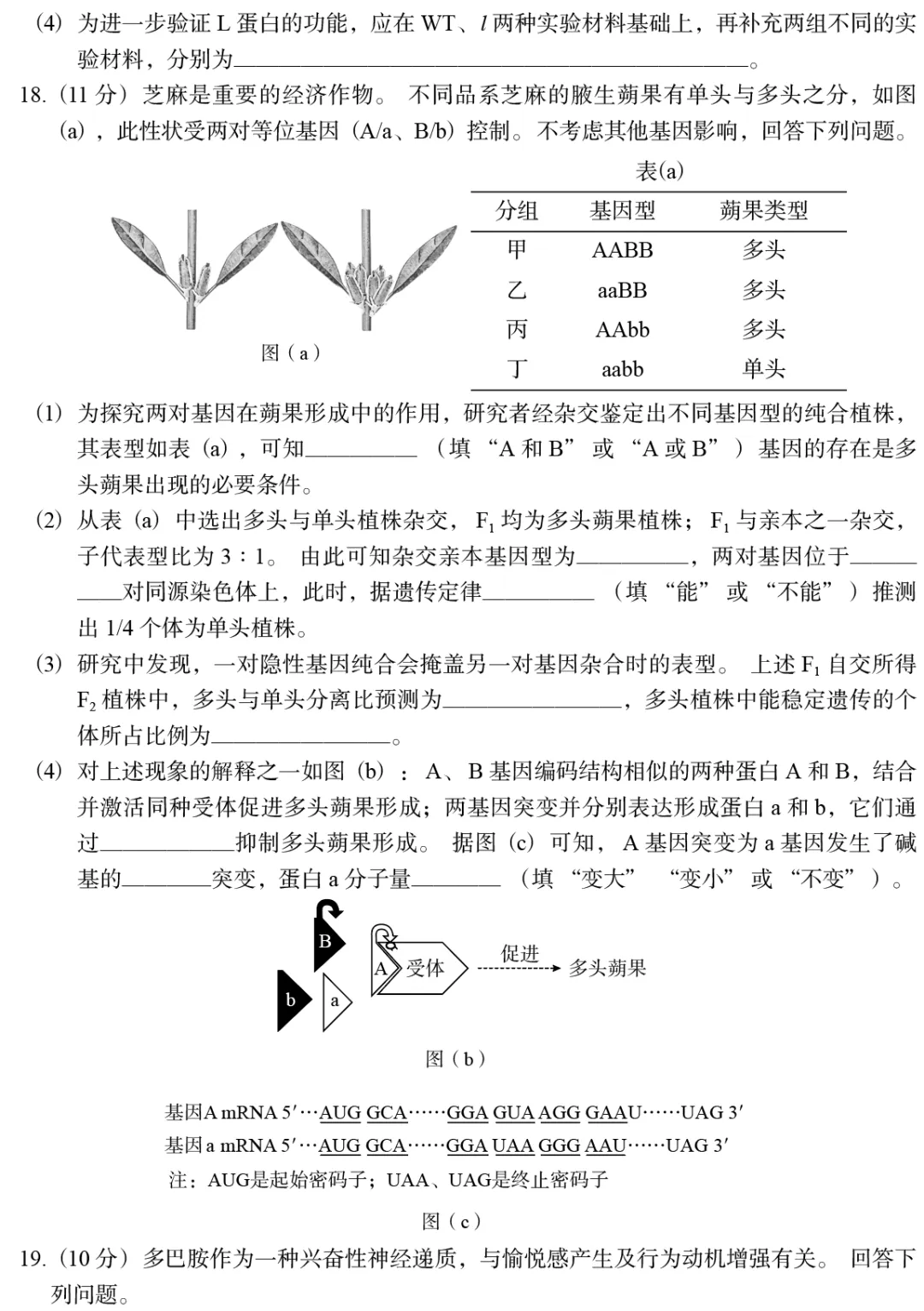 【真题】2026年陕晋宁青普通高中学业水平选择性考试-第6张图片-四季读书网