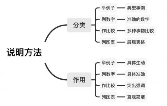 【中考语文-说明文阅读】说明文之说明方法及作用-第5张图片-四季读书网 【中考语文-说明文阅读】说明文之说明方法及作用-第5张图片-四季读书网