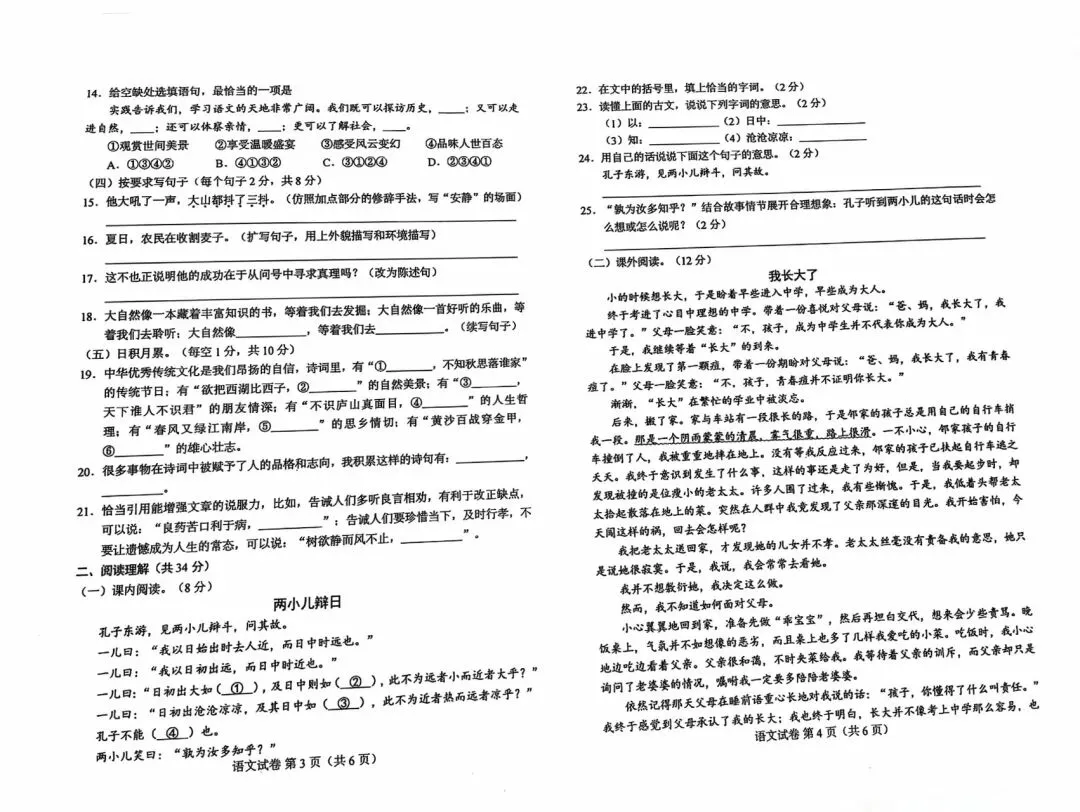2024年小升初分班考试语文真题二-第4张图片-四季读书网