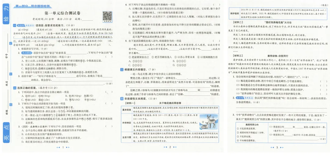 小学江苏用亮点试卷同步跟踪语文数学英语三四五六年级上册-第3张图片-四季读书网
