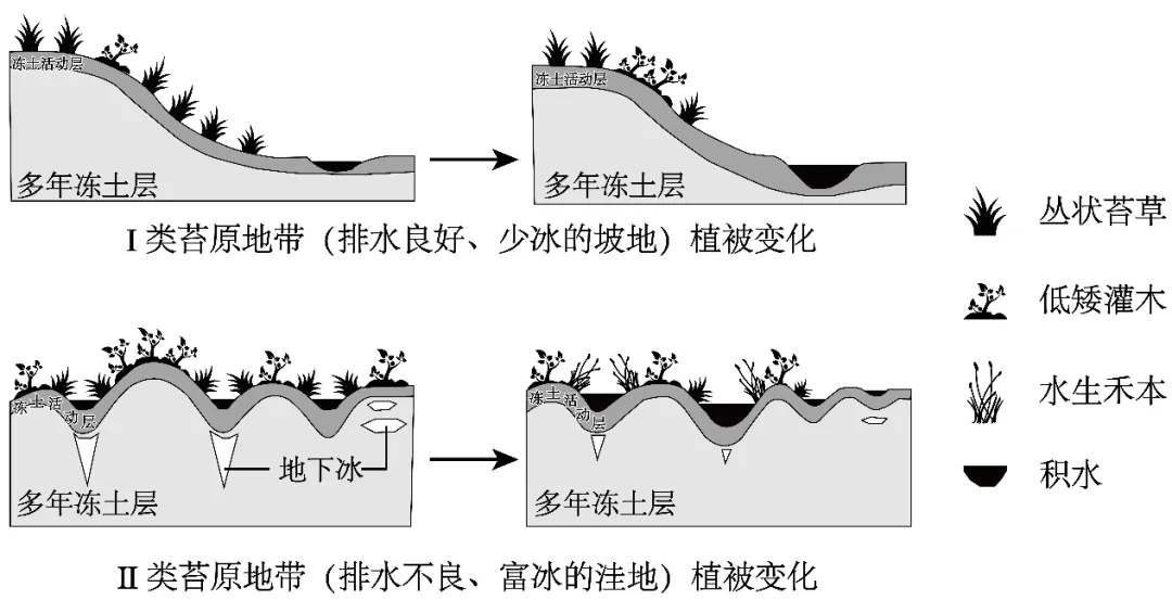 山东省济宁市2026届高考二模地理试卷-第6张图片-四季读书网