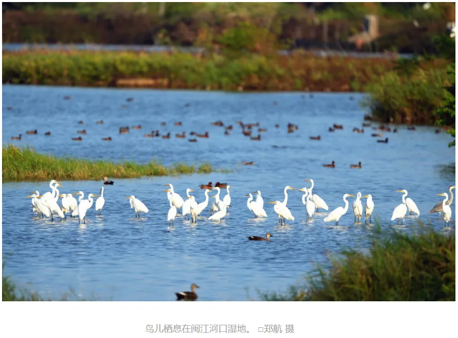 2026年北京地理高考真题实景图,不实景?(某在线教育平台真是有趣)-第13张图片-四季读书网