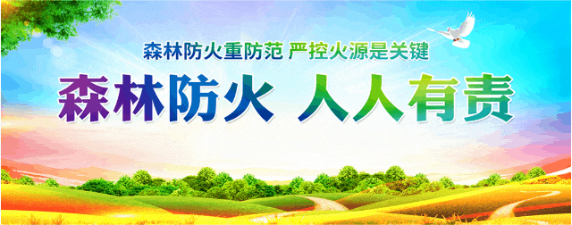 重要提醒!长治中考需于7月8日至12日自主填报志愿!-第7张图片-四季读书网 重要提醒!长治中考需于7月8日至12日自主填报志愿!-第7张图片-四季读书网