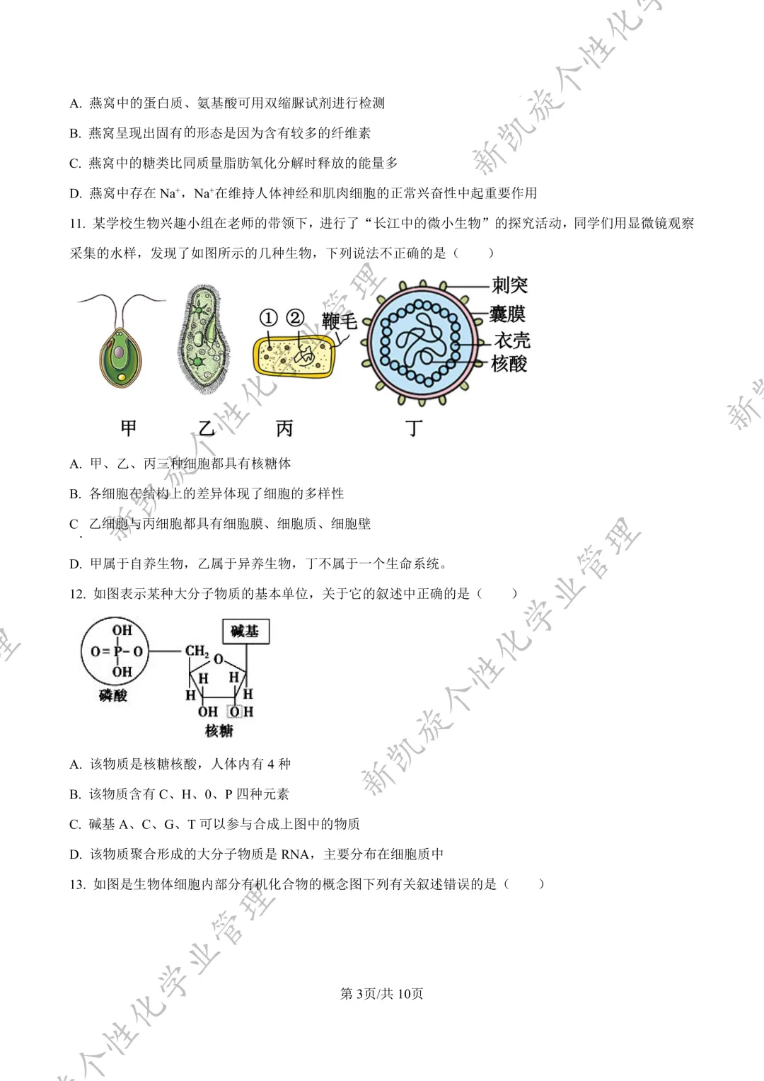 25年9月毓文中学高一第一次月考试卷-第18张图片-四季读书网