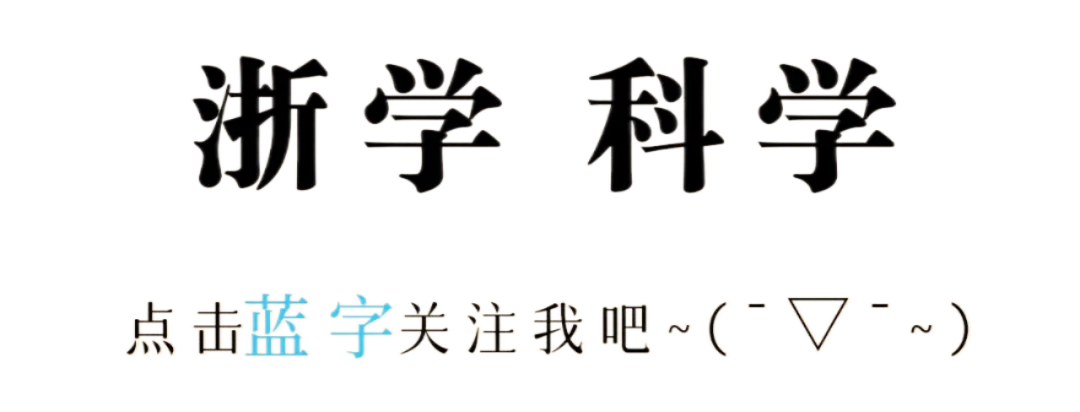 2026浙江中考试卷含答案-语文-第1张图片-四季读书网 2026浙江中考试卷含答案-语文-第1张图片-四季读书网