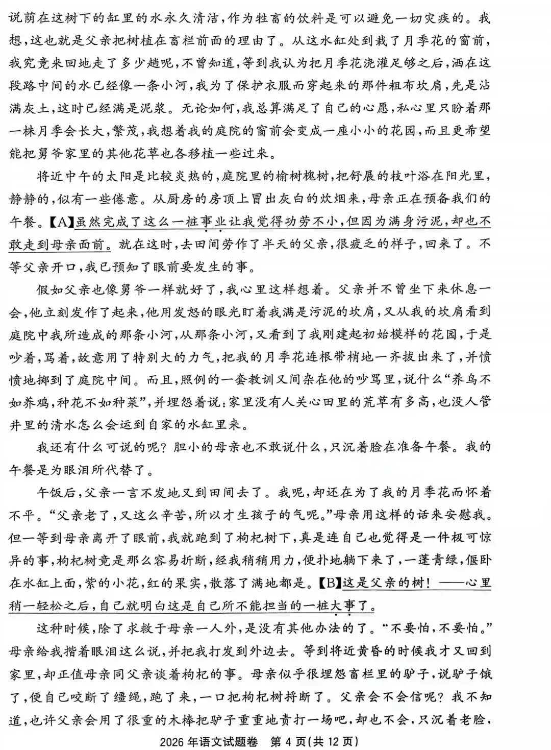 2026浙江中考试卷含答案-语文-第5张图片-四季读书网 2026浙江中考试卷含答案-语文-第5张图片-四季读书网