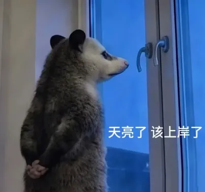暑期进度条警告,408复习强化|真题你真的刷对了吗?-第16张图片-四季读书网