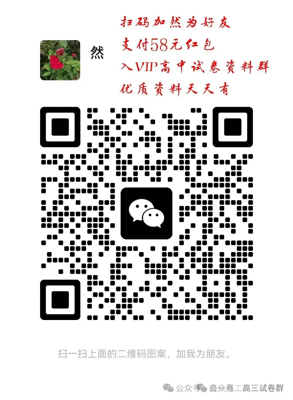 2025高一入学分班考试模拟卷2025学年秋季新-第3张图片-四季读书网