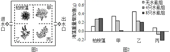 生物高考真题 | 2021年高考生物真题(北京卷)-第7张图片-四季读书网 生物高考真题 | 2021年高考生物真题(北京卷)-第7张图片-四季读书网