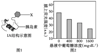 生物高考真题 | 2021年高考生物真题(北京卷)-第9张图片-四季读书网 生物高考真题 | 2021年高考生物真题(北京卷)-第9张图片-四季读书网