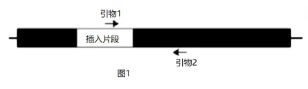生物高考真题 | 2021年高考生物真题(北京卷)-第12张图片-四季读书网 生物高考真题 | 2021年高考生物真题(北京卷)-第12张图片-四季读书网