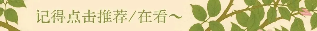 阅读概括总丢分?五种方法,以一篇中考级文章手把手教你-第3张图片-四季读书网 阅读概括总丢分?五种方法,以一篇中考级文章手把手教你-第3张图片-四季读书网