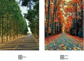 2026年重庆市中考语文试卷及-第1张图片-四季读书网 2026年重庆市中考语文试卷及-第1张图片-四季读书网
