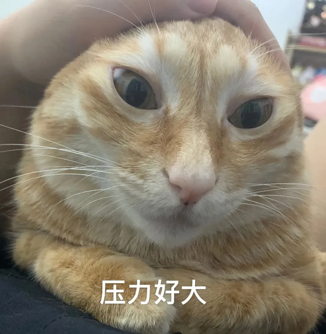 深圳中考公办高中录取率有多少?-第2张图片-四季读书网 深圳中考公办高中录取率有多少?-第2张图片-四季读书网