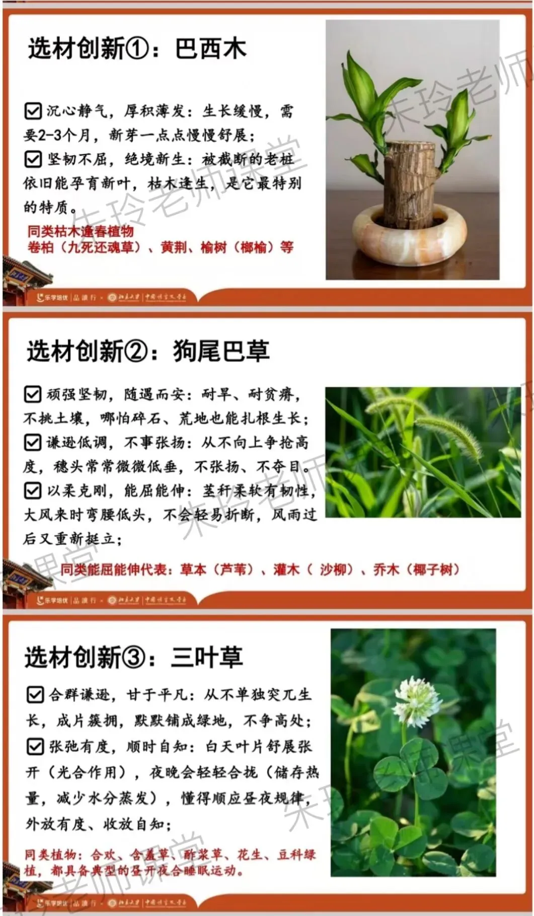 中考高分作文分享8:自然启示的经典立意(初三必备)-第9张图片-四季读书网