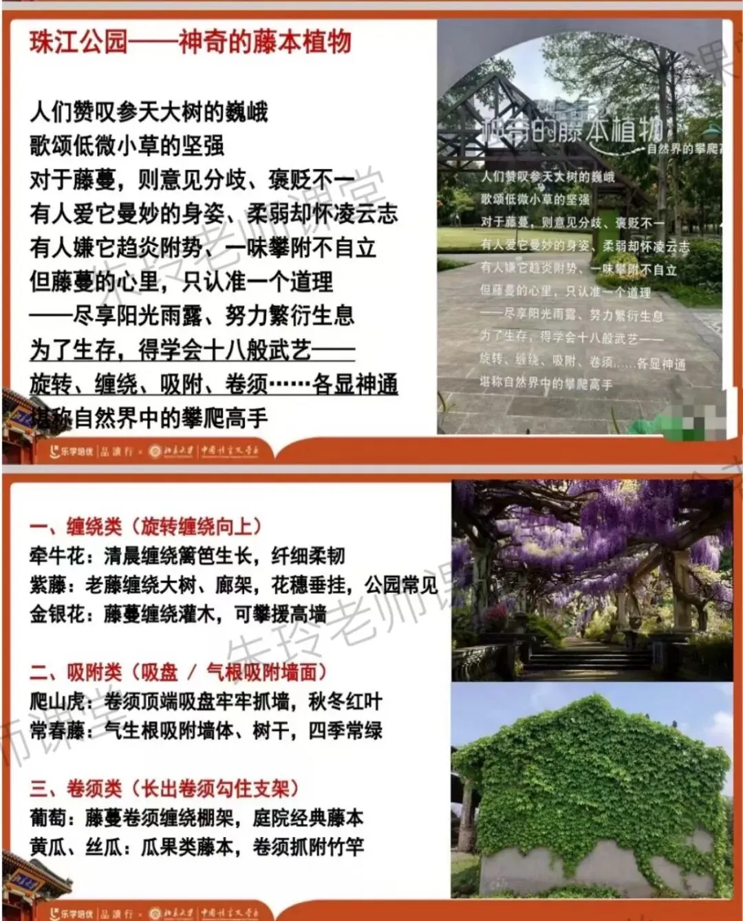 中考高分作文分享8:自然启示的经典立意(初三必备)-第10张图片-四季读书网