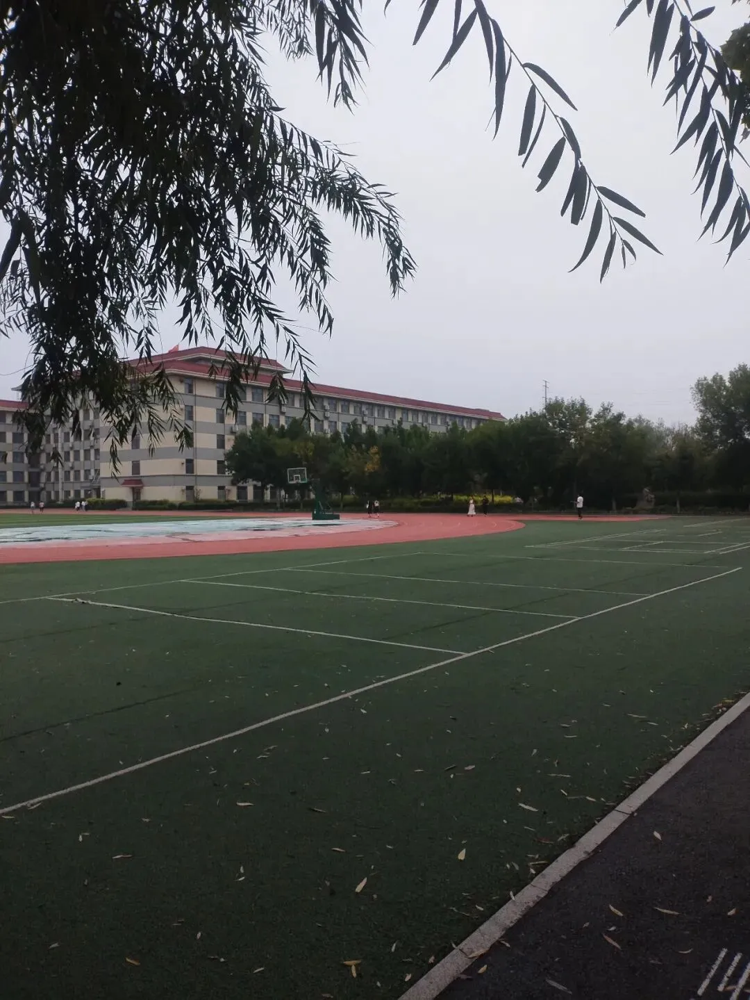 聊城今年中考数学阅卷分析-第1张图片-四季读书网