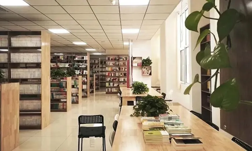 中考不理想?告别升学焦虑!杏坛港澳班为孩子开启国际升学新赛道-第6张图片-四季读书网