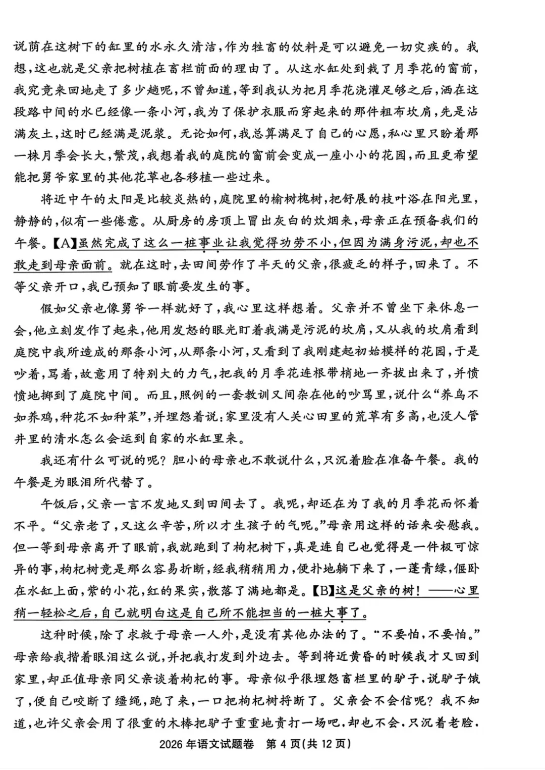 2026年浙江中考语文试题(附答案)-第5张图片-四季读书网 2026年浙江中考语文试题(附答案)-第5张图片-四季读书网