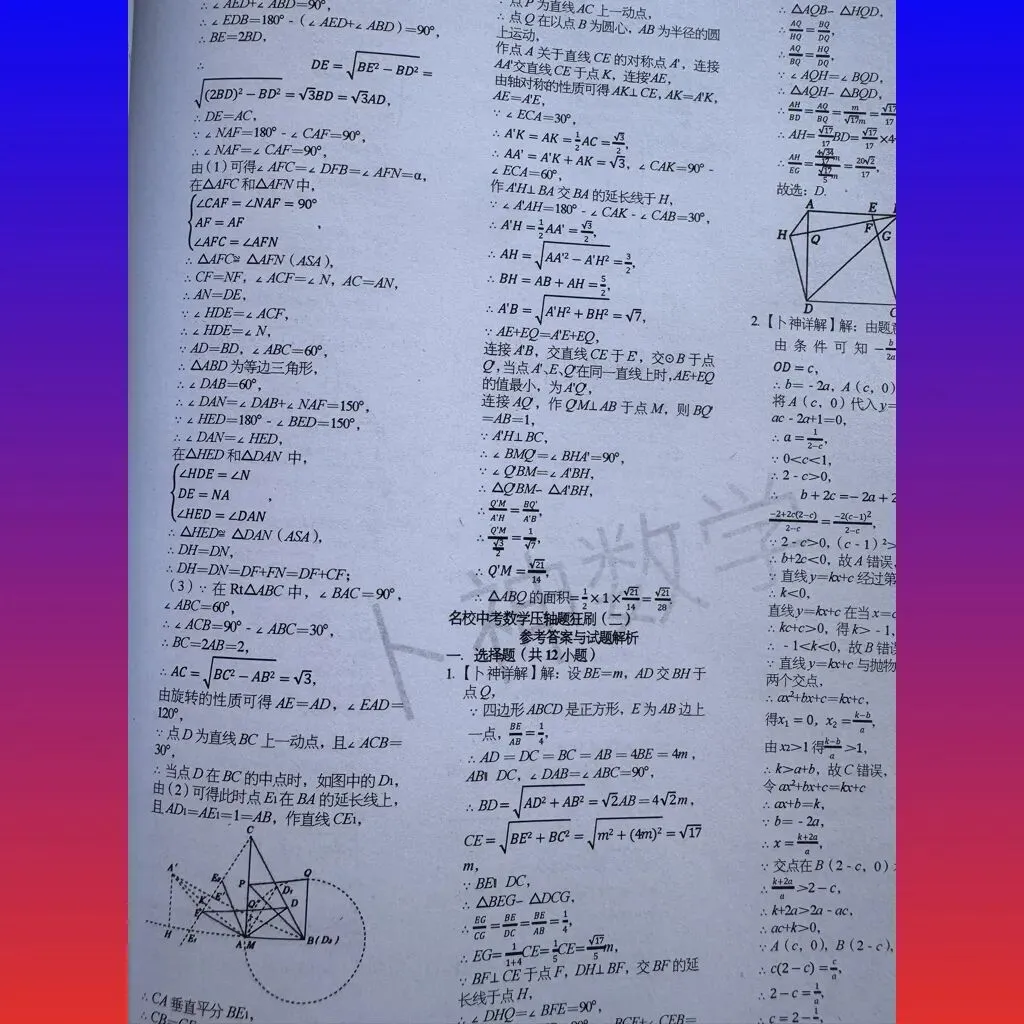 共28本名校中考数学压轴题狂刷2027隆重上线!2026-2023全国真题模拟压轴题/名师视角 大师眼光!-第17张图片-四季读书网