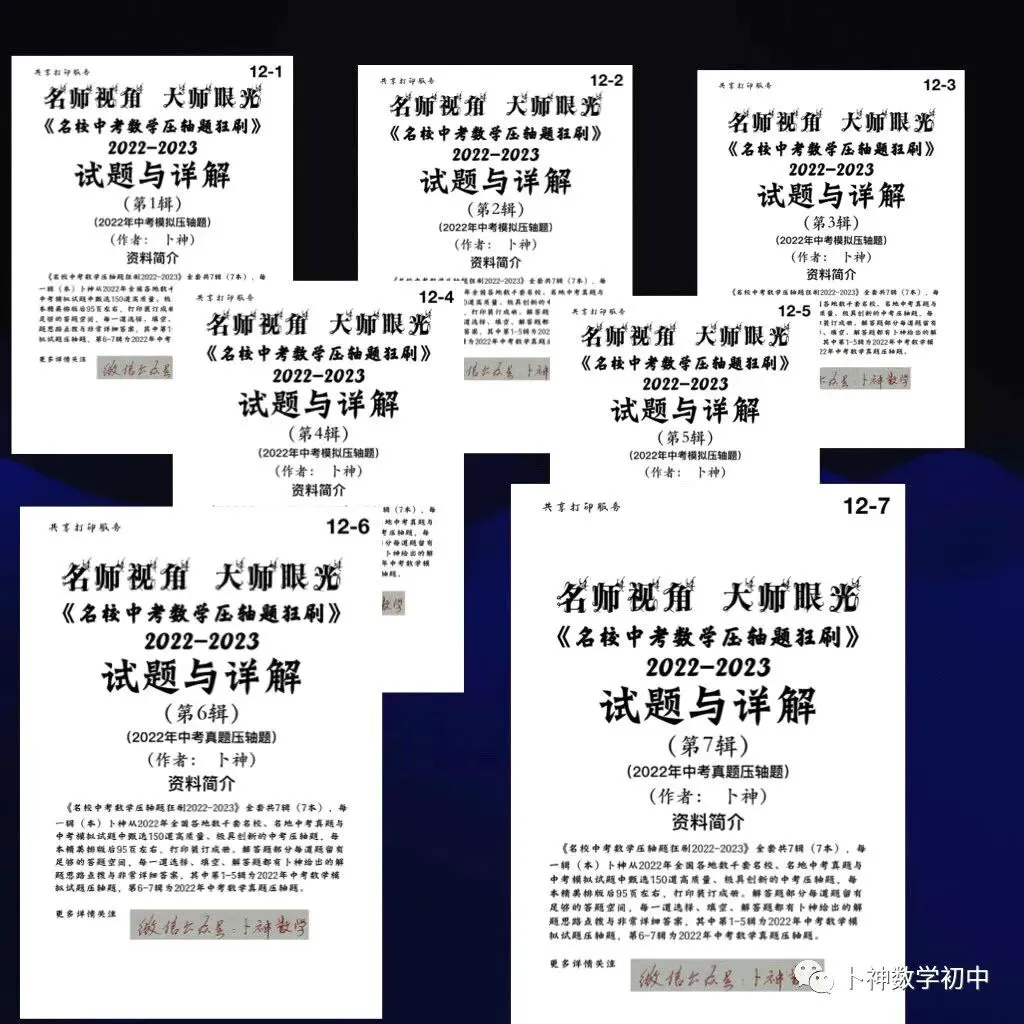 共28本名校中考数学压轴题狂刷2027隆重上线!2026-2023全国真题模拟压轴题/名师视角 大师眼光!-第38张图片-四季读书网