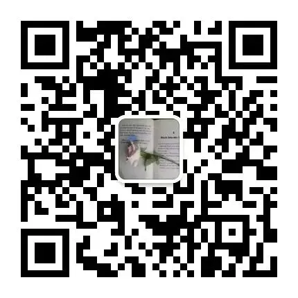 Z20联盟英语试卷||2027届第一次检查-第15张图片-四季读书网