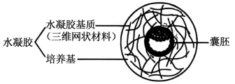 2026年高考黑吉辽蒙卷生物真题详细解读-第1张图片-四季读书网 2026年高考黑吉辽蒙卷生物真题详细解读-第1张图片-四季读书网