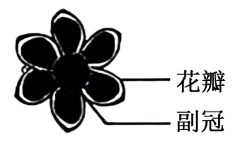 2026年高考黑吉辽蒙卷生物真题详细解读-第6张图片-四季读书网 2026年高考黑吉辽蒙卷生物真题详细解读-第6张图片-四季读书网