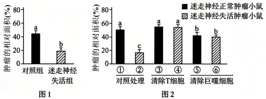 2026年高考黑吉辽蒙卷生物真题详细解读-第10张图片-四季读书网 2026年高考黑吉辽蒙卷生物真题详细解读-第10张图片-四季读书网