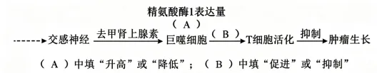 2026年高考黑吉辽蒙卷生物真题详细解读-第11张图片-四季读书网 2026年高考黑吉辽蒙卷生物真题详细解读-第11张图片-四季读书网
