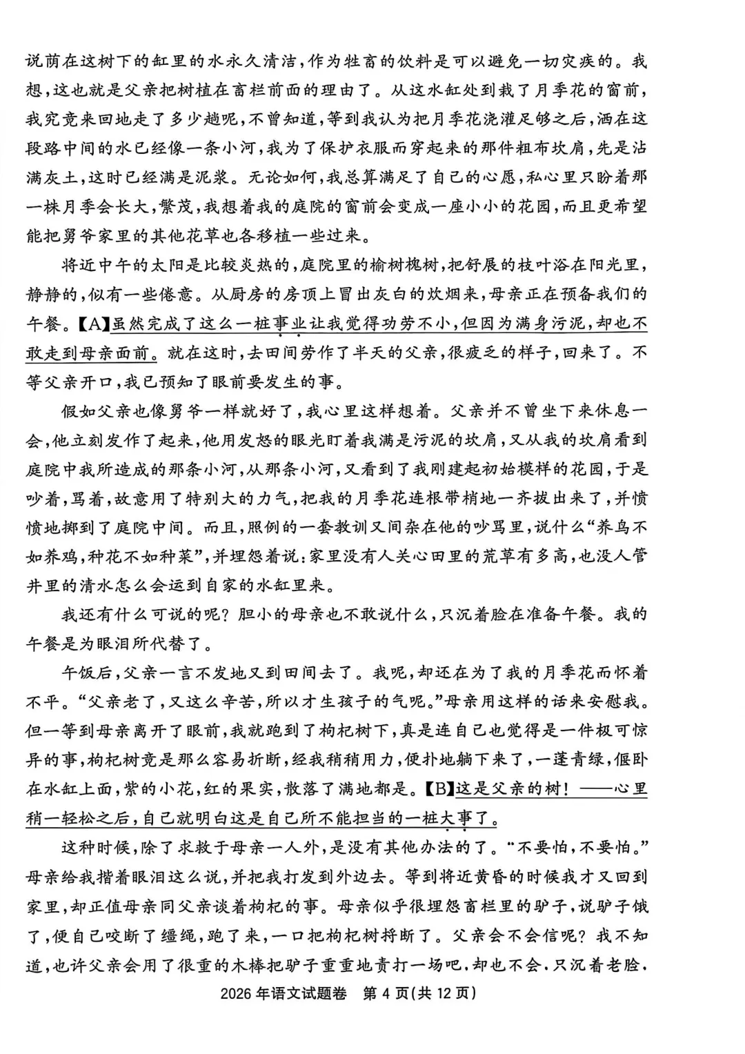 2026年浙江中考真题卷(附近三年浙江中考语文阅读命题分析)-第8张图片-四季读书网