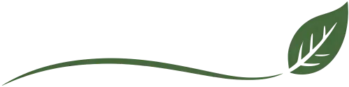 2024-2026年浙江中考语文试卷阅读板块命题分析以及2027年阅读复习建议(附2026年浙江真题卷)-第9张图片-四季读书网 2024-2026年浙江中考语文试卷阅读板块命题分析以及2027年阅读复习建议(附2026年浙江真题卷)-第9张图片-四季读书网
