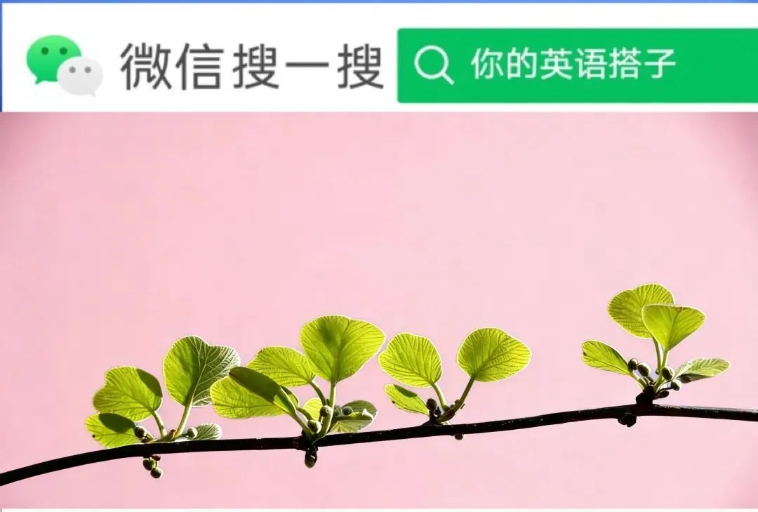 九年级上册开学收心测(中考全语法覆盖)-第1张图片-四季读书网 九年级上册开学收心测(中考全语法覆盖)-第1张图片-四季读书网