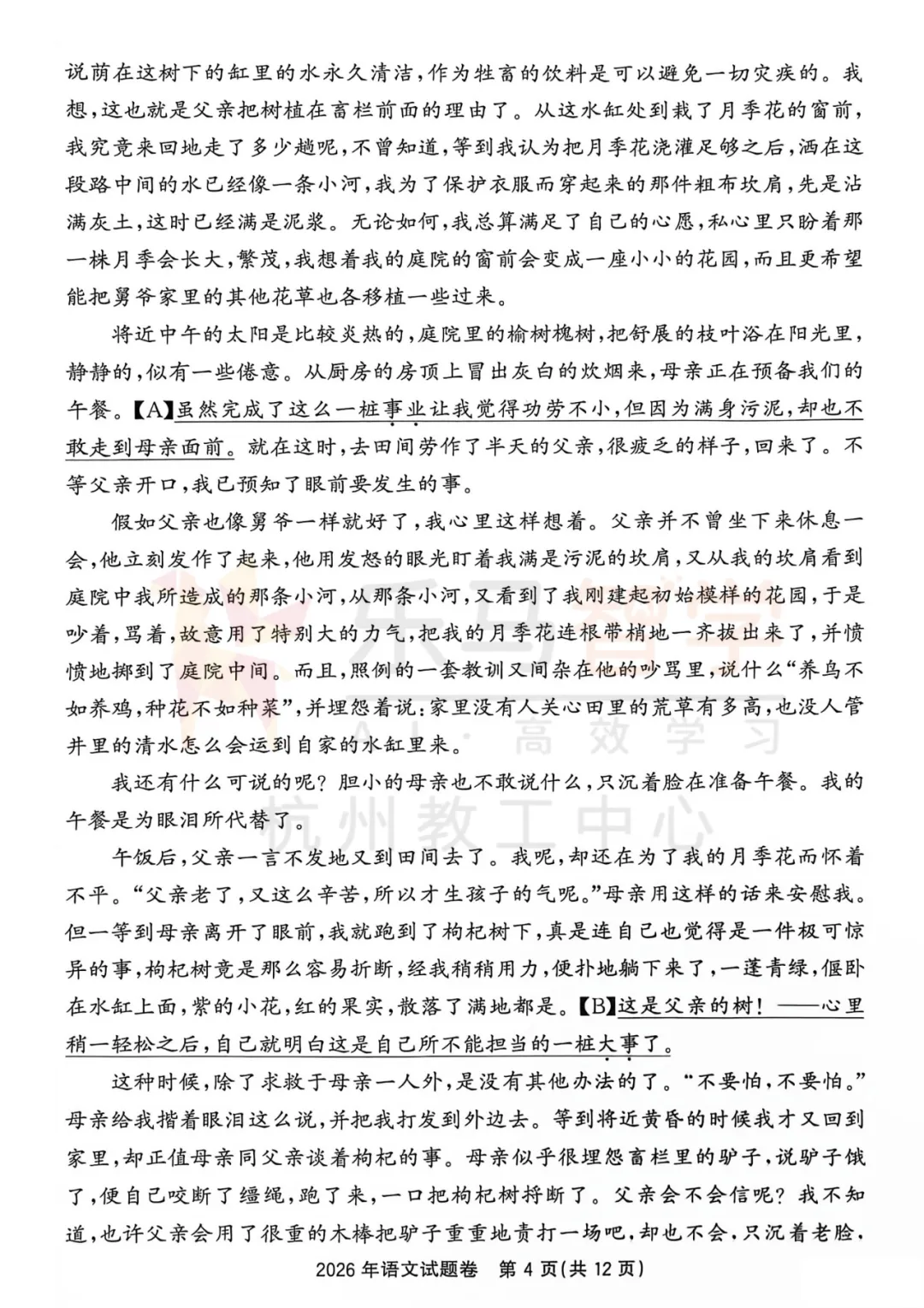 2026浙江中考语文试卷逐题分析!对比2025年试卷变化盘点!-第6张图片-四季读书网 2026浙江中考语文试卷逐题分析!对比2025年试卷变化盘点!-第6张图片-四季读书网
