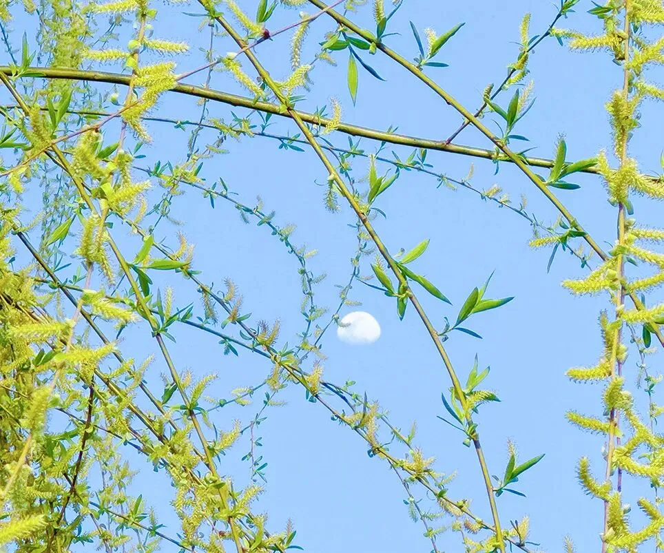 新初三开学别让语文成为中考的拖分短-第17张图片-四季读书网 新初三开学别让语文成为中考的拖分短-第17张图片-四季读书网