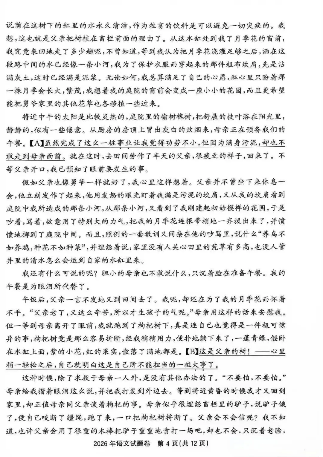 2026年浙江省中考语文试卷及答案-第4张图片-四季读书网 2026年浙江省中考语文试卷及答案-第4张图片-四季读书网