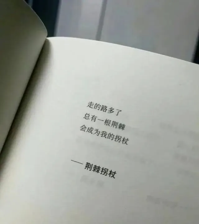 中考语文3分题,段落赏析.-第14张图片-四季读书网 中考语文3分题,段落赏析.-第14张图片-四季读书网