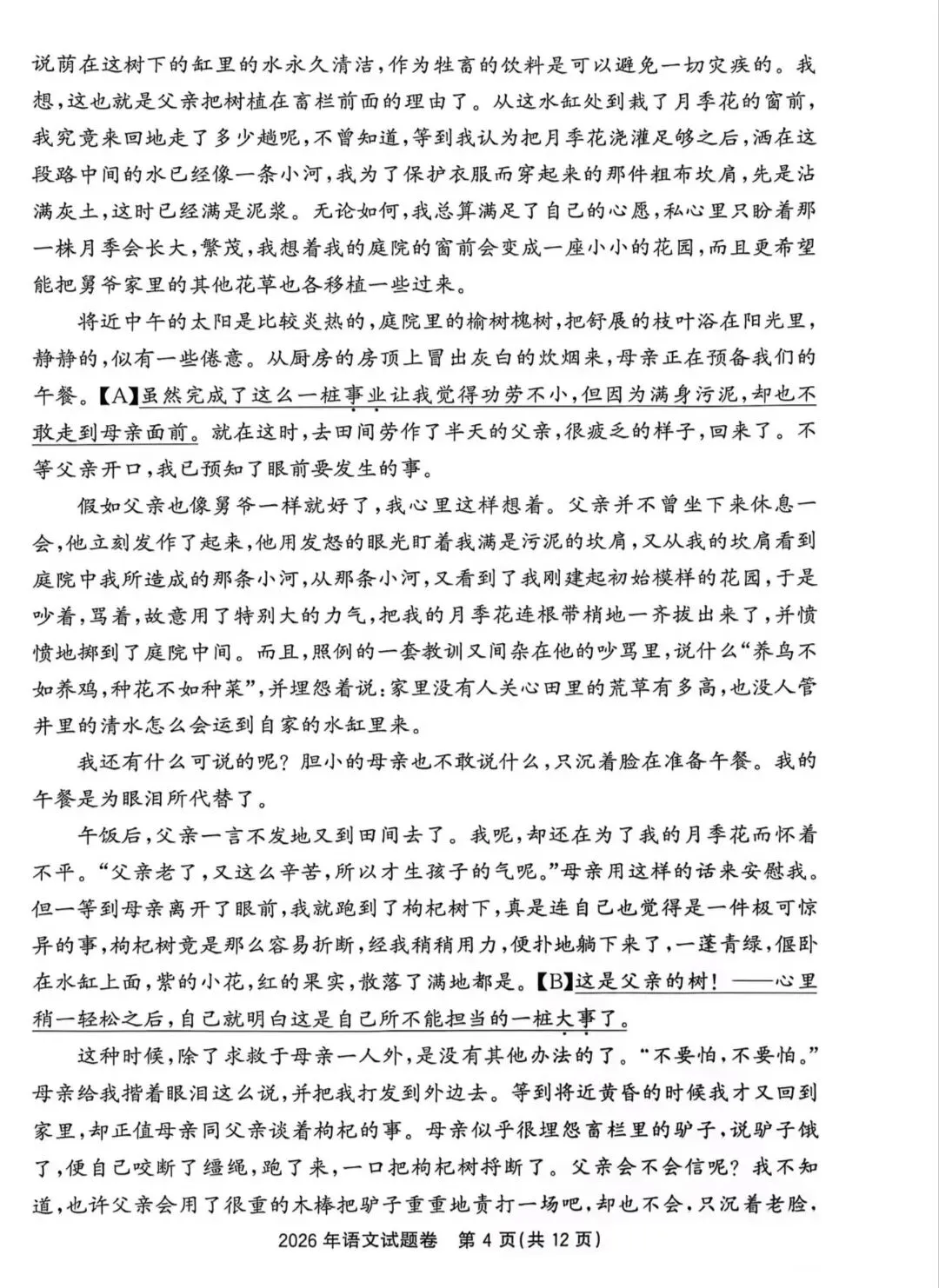 2026年浙江省中考语文卷-第4张图片-四季读书网