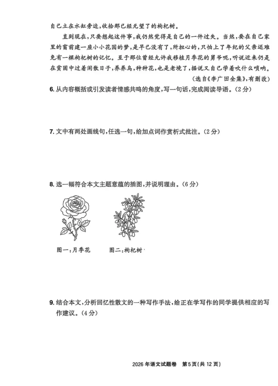 2026浙江语文中考卷真题卷(附答案)-第5张图片-四季读书网 2026浙江语文中考卷真题卷(附答案)-第5张图片-四季读书网