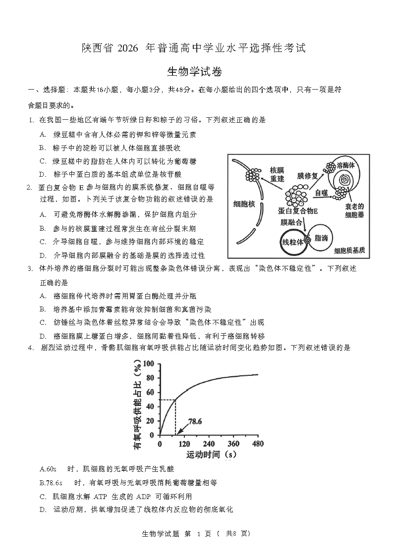 【真题卷】2026年陕西省高考数学试卷(附参考答案)-第4张图片-四季读书网