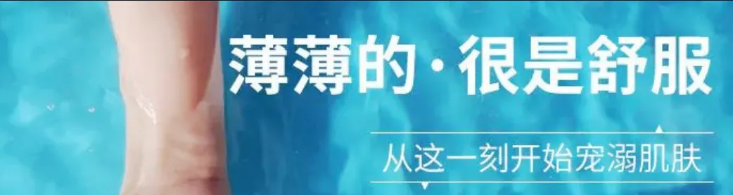 暑假背诵,中考英语核心高频词汇480个(24天背诵+默写)--可打印,英语提升-第4张图片-四季读书网