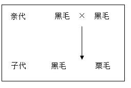 2025广西中考生物真题与答案-第10张图片-四季读书网