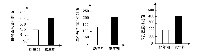 2025广西中考生物真题与答案-第12张图片-四季读书网