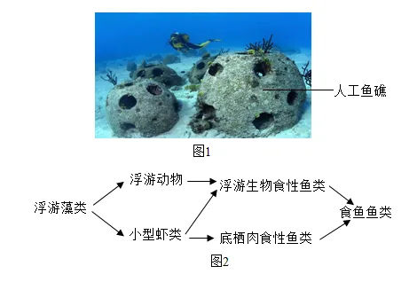 2025广西中考生物真题与答案-第13张图片-四季读书网