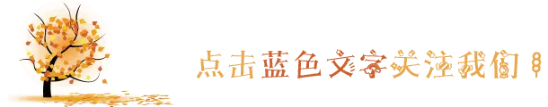 【学科指津】浙江中考数学考情概览-第1张图片-四季读书网