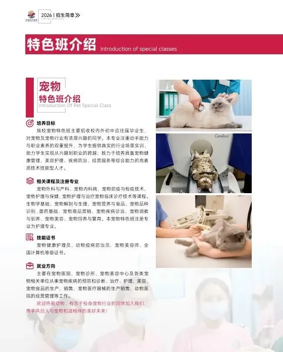 2026中考推荐学校丨广州涉外经济职业技术学院-第9张图片-四季读书网 2026中考推荐学校丨广州涉外经济职业技术学院-第9张图片-四季读书网