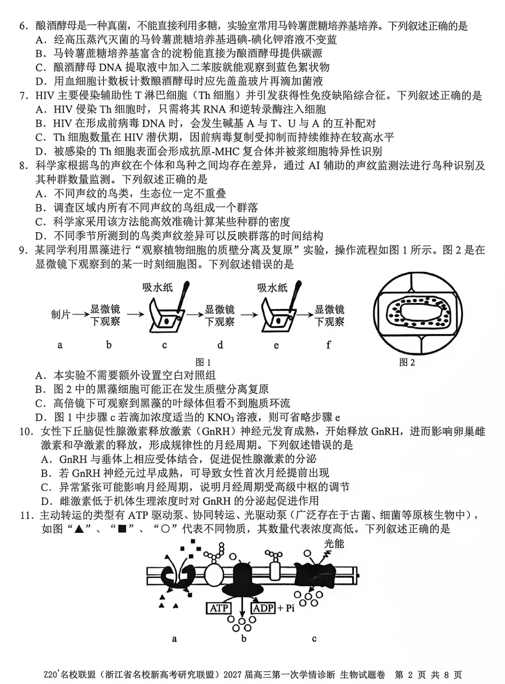 2026年8月浙江高三Z20+联盟生物试卷、答案、解析和评分细则(附视频讲解)-第12张图片-四季读书网 2026年8月浙江高三Z20+联盟生物试卷、答案、解析和评分细则(附视频讲解)-第12张图片-四季读书网