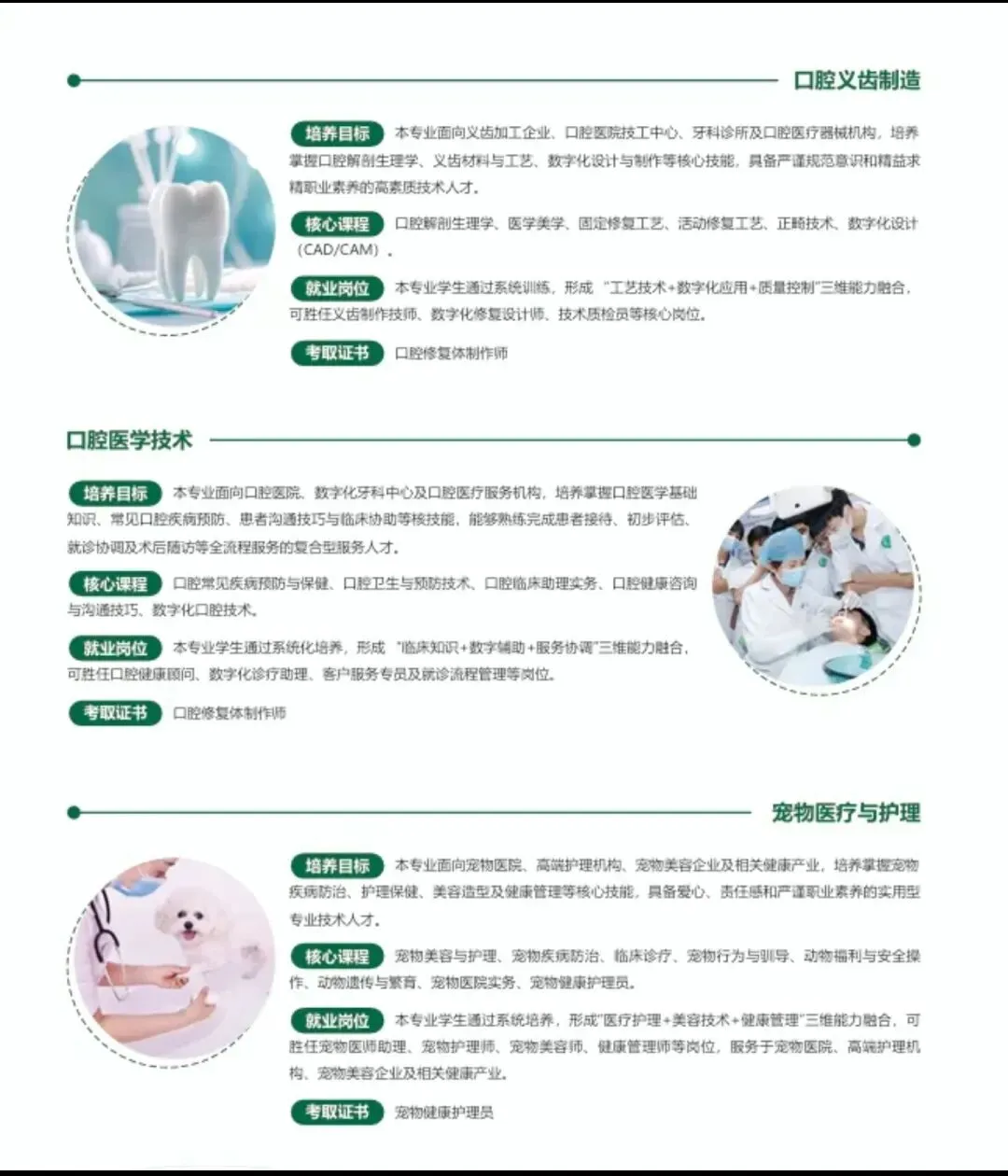 2026中考推荐学校丨广州市高新医药与食品技工学校-第13张图片-四季读书网 2026中考推荐学校丨广州市高新医药与食品技工学校-第13张图片-四季读书网