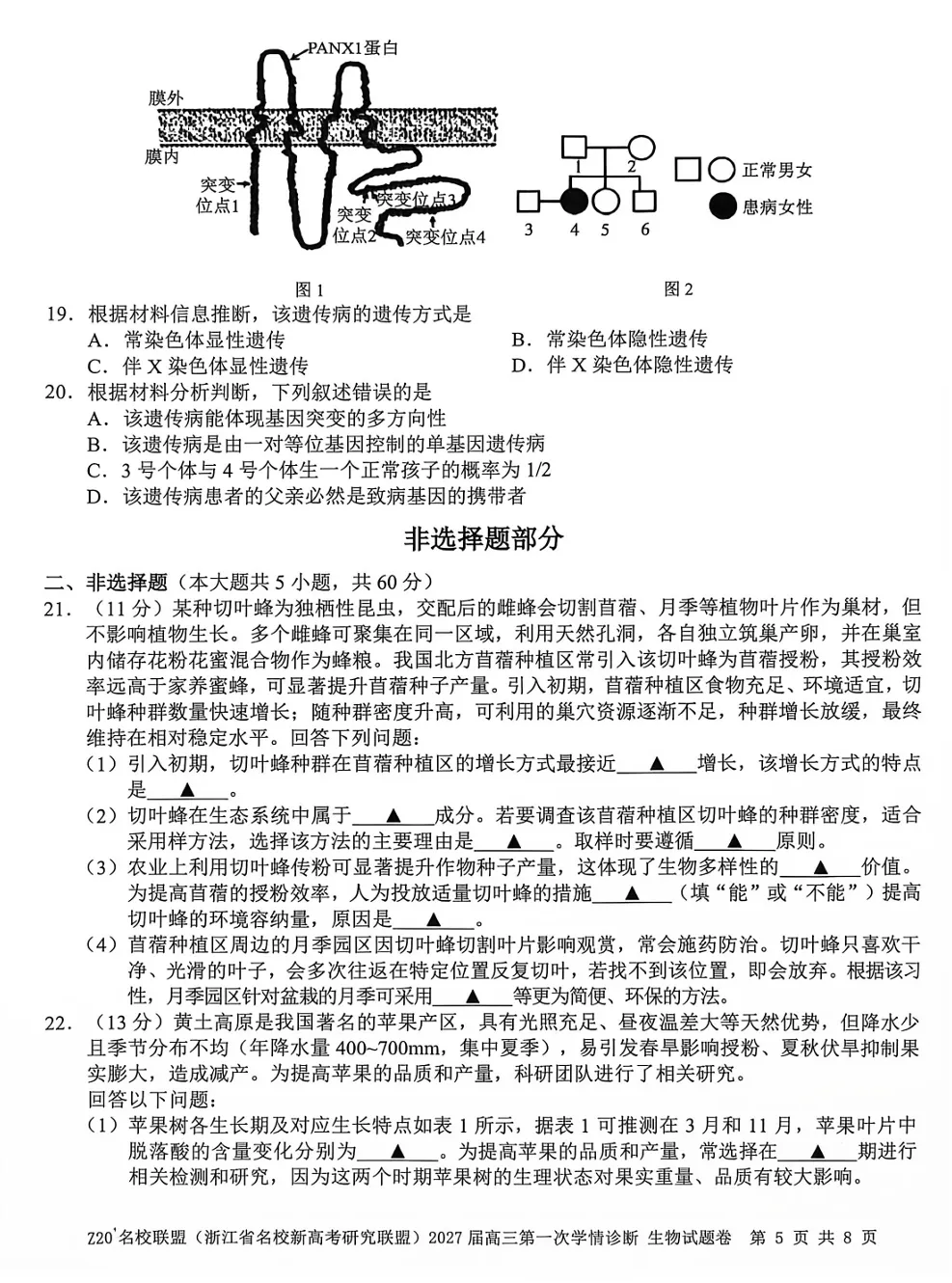2026年8月浙江高三Z20+联盟生物试卷、答案、解析和评分细则(附视频讲解)-第15张图片-四季读书网 2026年8月浙江高三Z20+联盟生物试卷、答案、解析和评分细则(附视频讲解)-第15张图片-四季读书网