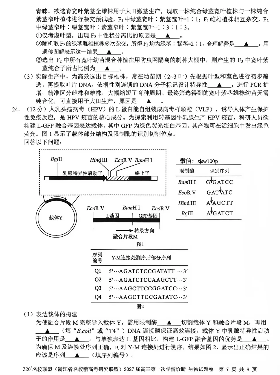 2026年8月浙江高三Z20+联盟生物试卷、答案、解析和评分细则(附视频讲解)-第17张图片-四季读书网 2026年8月浙江高三Z20+联盟生物试卷、答案、解析和评分细则(附视频讲解)-第17张图片-四季读书网